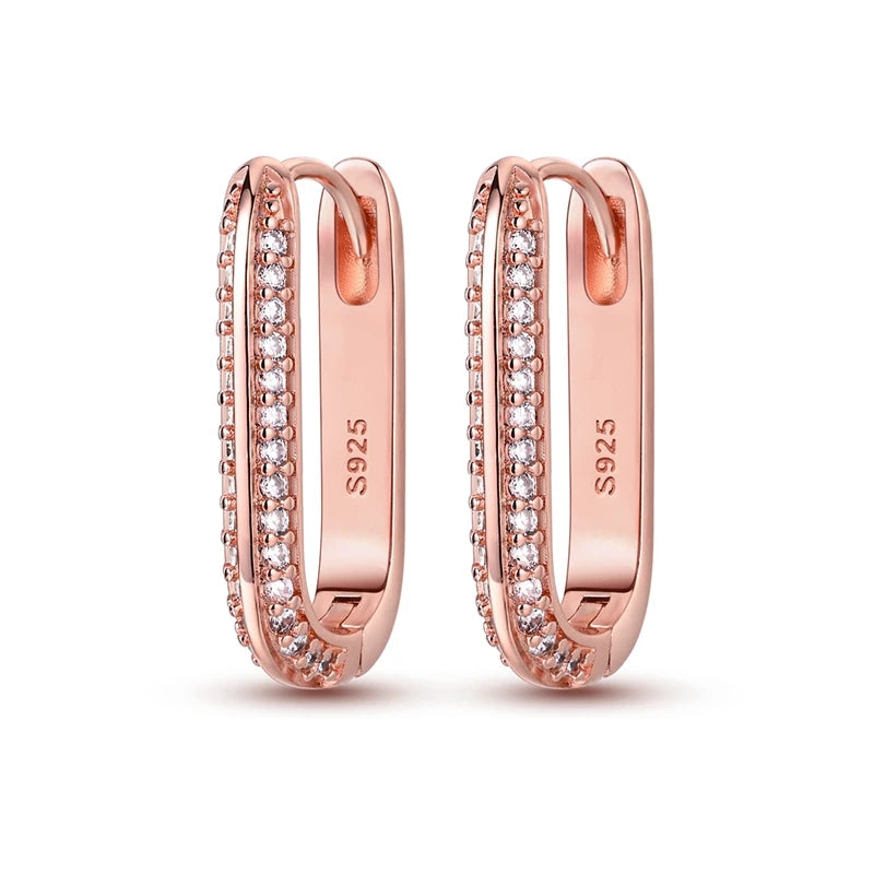 925 Sterling Silver Luxury Gold Rose Gold Color Large Double Circle Hoop Earrings Women Geometry Zircon Earrings Fine Jewelry