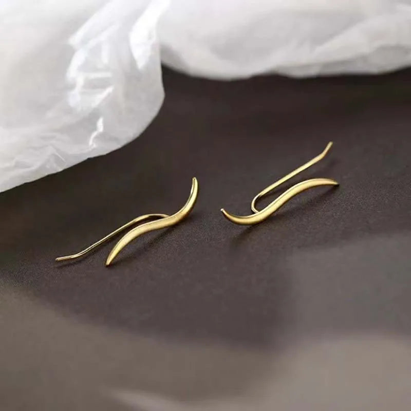 Korean Shiny Zircon Star Flower Climbing Earrings for Women Exquisite Sliver Color Crystal Statement Earrings Jewelry Gifts