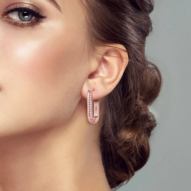 925 Sterling Silver Luxury Gold Rose Gold Color Large Double Circle Hoop Earrings Women Geometry Zircon Earrings Fine Jewelry